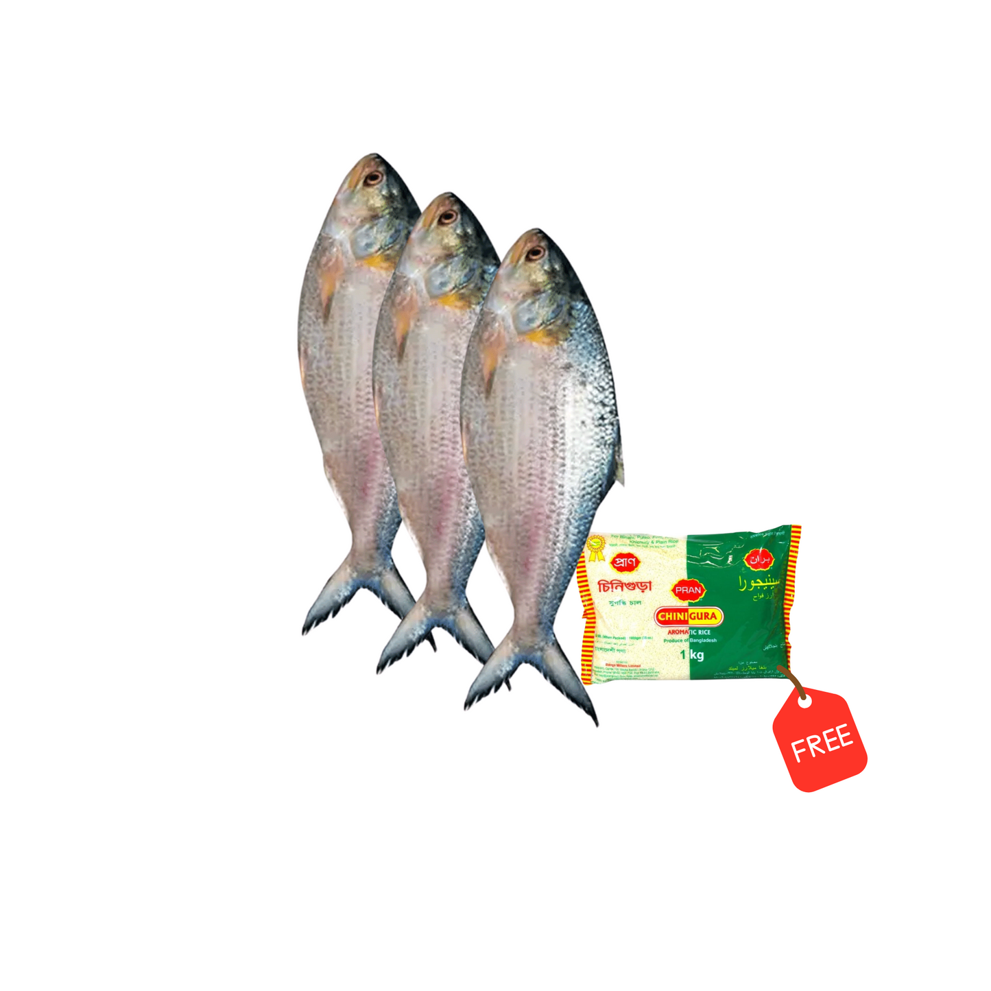 3 PC (size 8-10) HILSHA + 1 KG CHINIGURA RICE