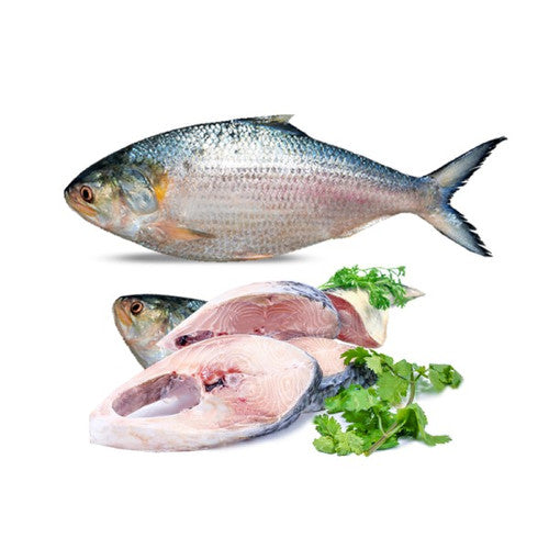 HILSHA FISH FROZEN