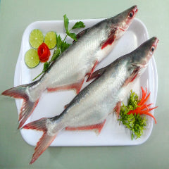 DESHI PANGUSH FISH FROZEN 2.6 kG