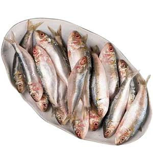 CHAPILA  FROZEN BLOCK 250 G