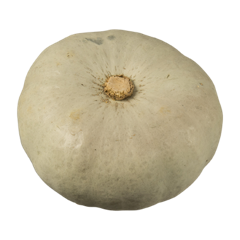 PUMPKIN WHOLE LARGE