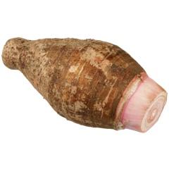 FIJI PINK TARO TAG#1